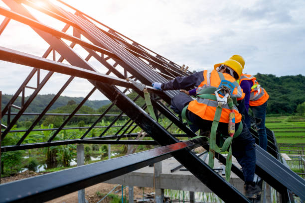 Best Roof Gutter Cleaning  in Wood River, IL