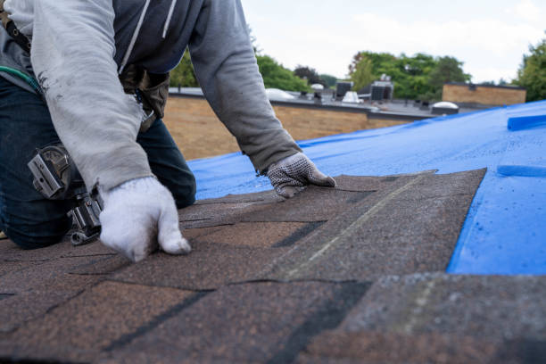 Best Roofing Contractor Near Me  in Wood River, IL